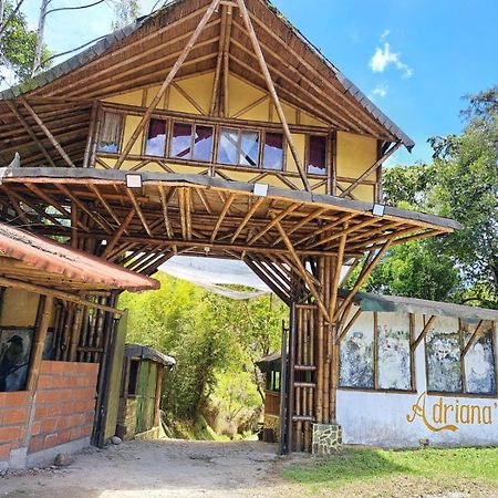 Hotel Guatape Adrianas Bambu エクステリア 写真