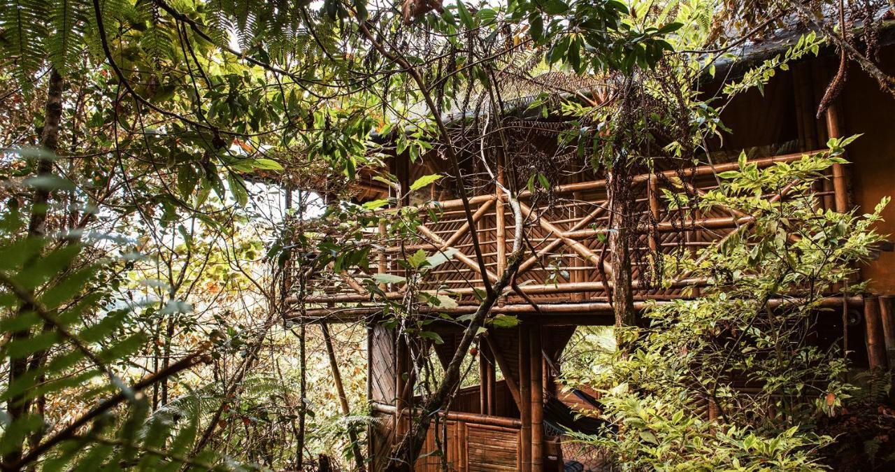 Hotel Guatape Adrianas Bambu エクステリア 写真
