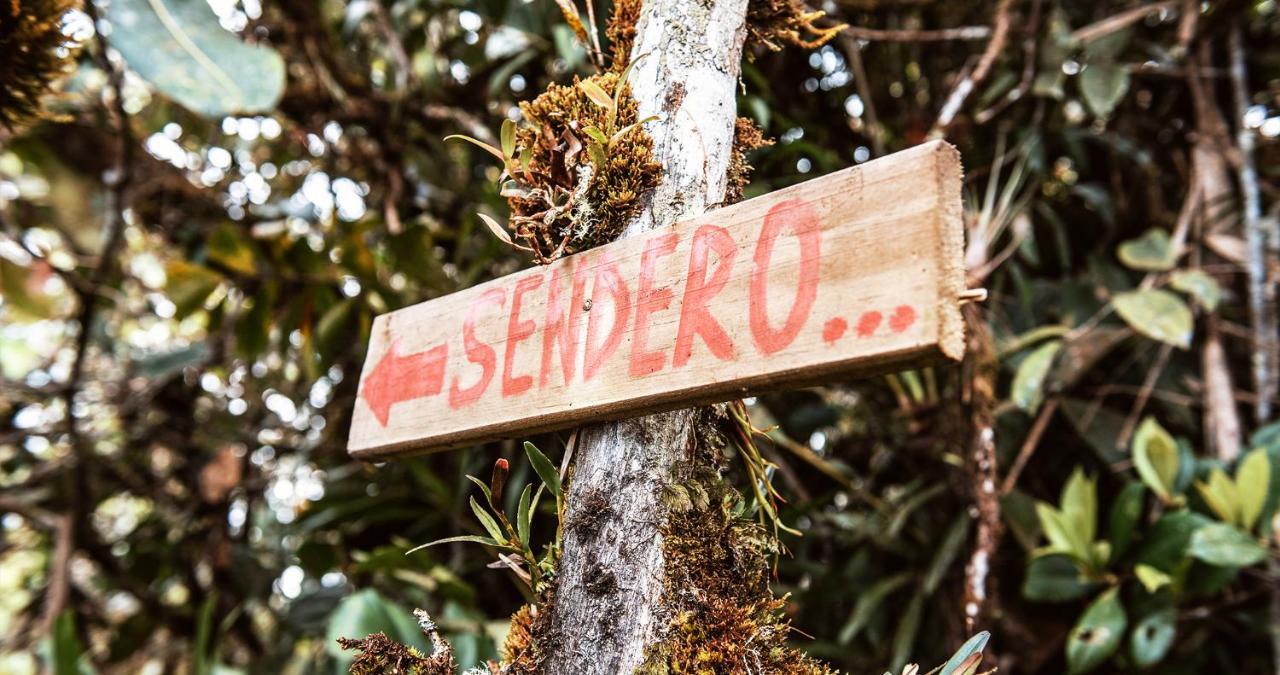 Hotel Guatape Adrianas Bambu エクステリア 写真