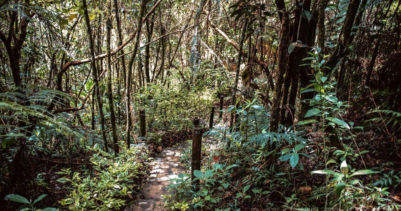 Hotel Guatape Adrianas Bambu エクステリア 写真