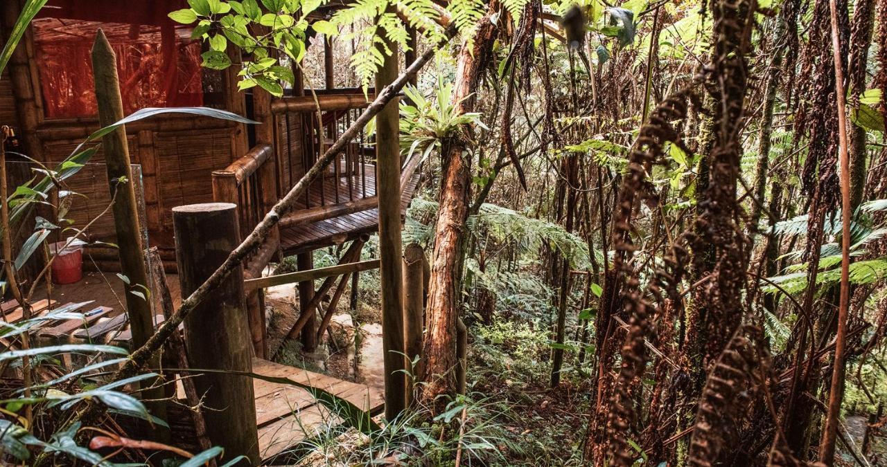 Hotel Guatape Adrianas Bambu エクステリア 写真