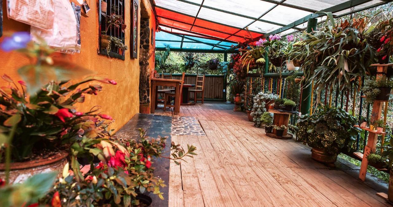 Hotel Guatape Adrianas Bambu エクステリア 写真