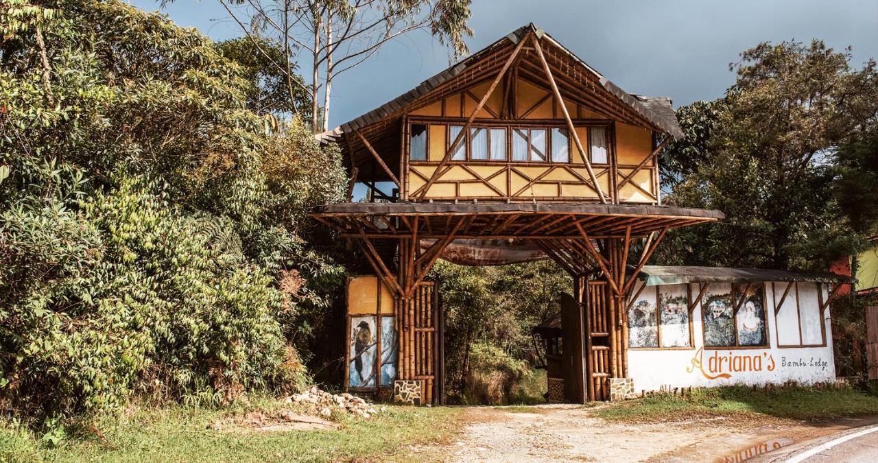 Hotel Guatape Adrianas Bambu エクステリア 写真