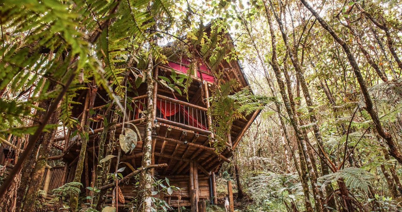 Hotel Guatape Adrianas Bambu エクステリア 写真