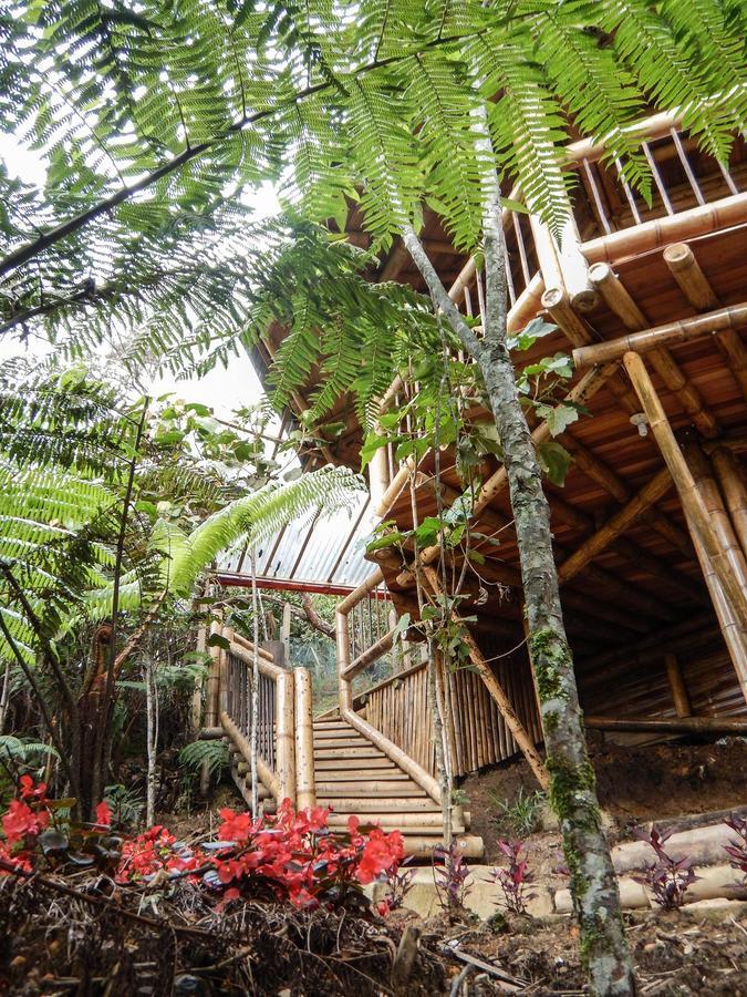 Hotel Guatape Adrianas Bambu エクステリア 写真