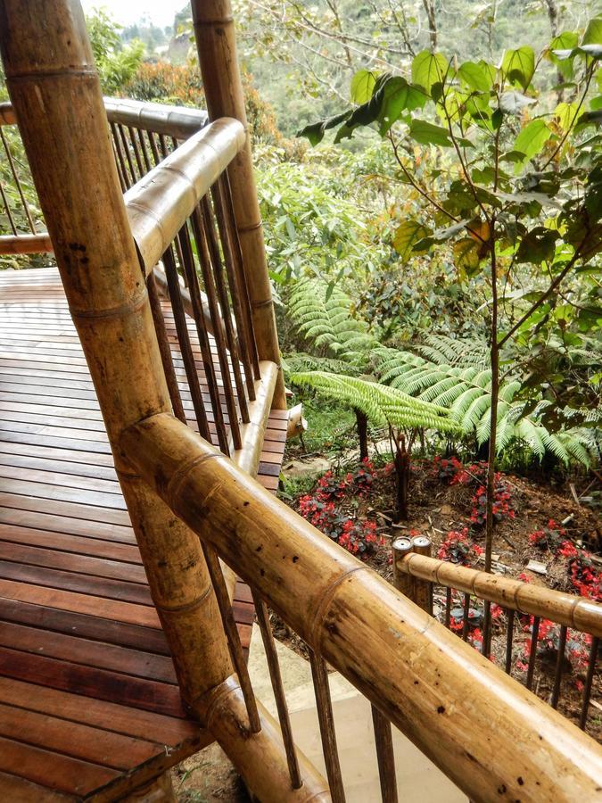 Hotel Guatape Adrianas Bambu エクステリア 写真