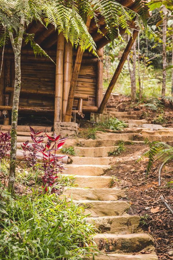 Hotel Guatape Adrianas Bambu エクステリア 写真