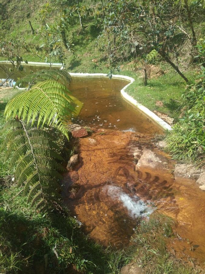 Hotel Guatape Adrianas Bambu エクステリア 写真
